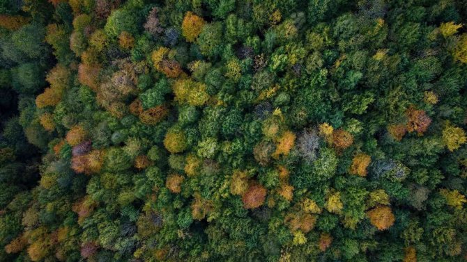 Sakarya’da Sonbahar Güzelliği
