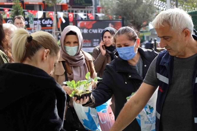 Vatandaşlara 178 Bin 200 Sebze Fidesi Dağıtıldı