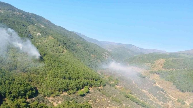 Kazdağlarındaki Orman Yangınında Sabotaj Şüphesi