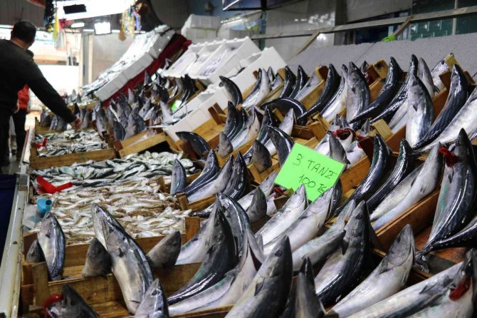 Karadeniz Hamsisi Tezgahlarda Yerini Almayı Bekliyor