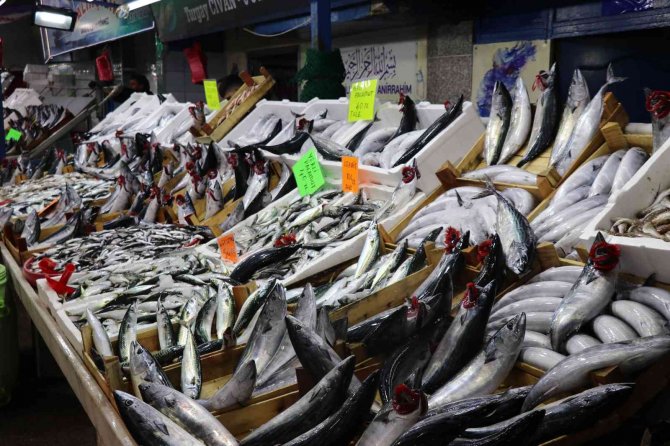 Karadeniz Hamsisi Tezgahlarda Yerini Almayı Bekliyor