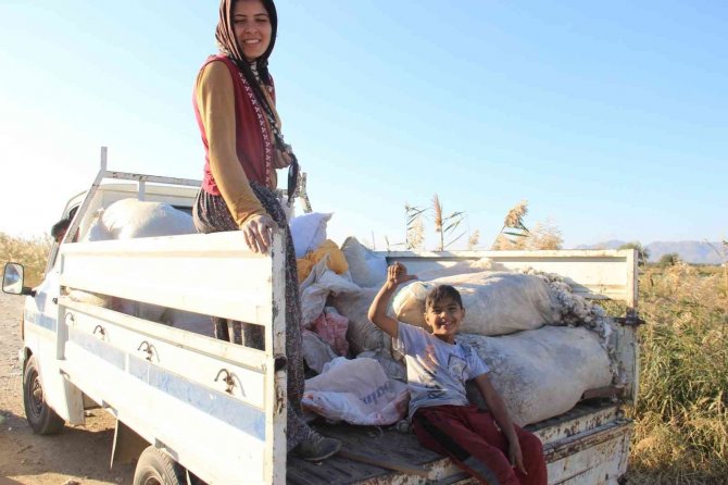 Kalıntı Pamuklar Ekonomiye Kazandırılıyor