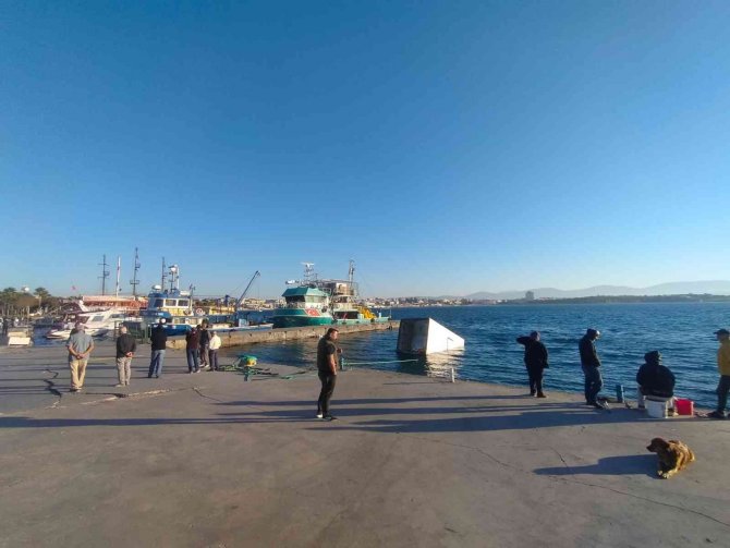 Balık Almaya Gelen Kamyonet Denize Düştü