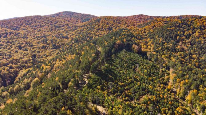 Kazdağları’nın Eşsiz Sonbahar Güzellikleri Dron İle Görüntülendi