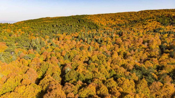 Kazdağları’nın Eşsiz Sonbahar Güzellikleri Dron İle Görüntülendi