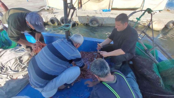 Karadeniz’de Palamut, Marmara’da Karides