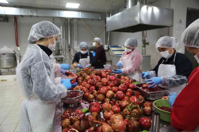 Zahmetle Toplanan Narlar Efelerli Kadınların Elinde Ekşiye Dönüşüyor