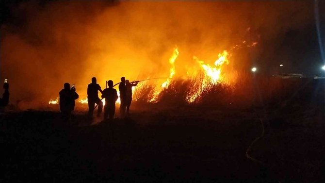 Milleyha Sulak Alanında Çıkan Yangın Kontrol Altında
