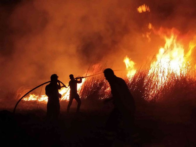 Milleyha Sulak Alanında Çıkan Yangın Kontrol Altında