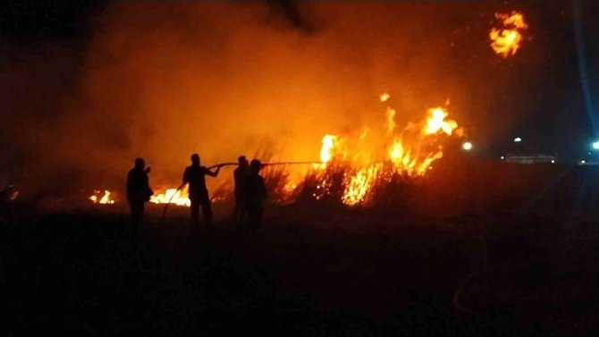 Milleyha Sulak Alanında Çıkan Yangın Kontrol Altında