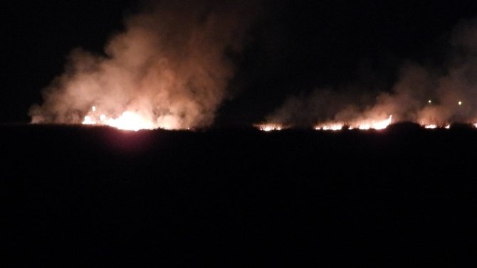 Milleyha Kuş Cenneti’nde Yangın Çıktı