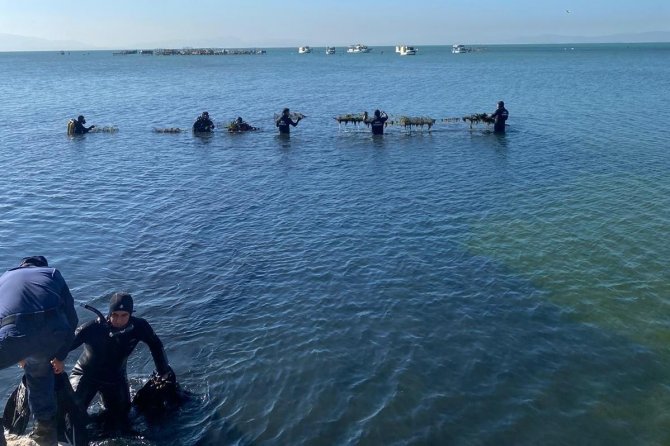 Denizden Çıkarılan Atıklardan Bulaşık-çamaşır Makinesi Düğmesi