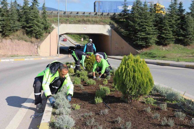 Körfez’de Atıklar Yeşile Dönüşüyor