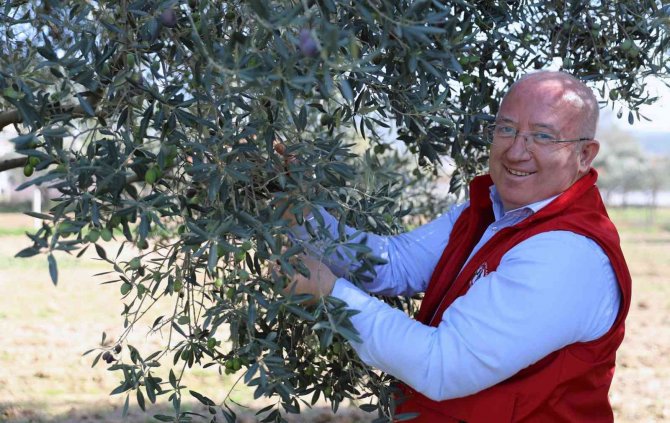 Menteşe Belediyesinden Tarım Ve Hayvancılığa Destek