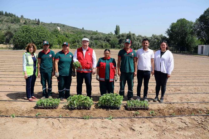Menteşe Belediyesinden Tarım Ve Hayvancılığa Destek