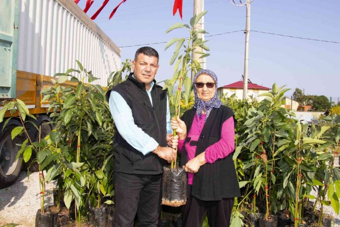 Mersin’de Avokado Fidanı Dağıtımının İkinci Etabı Tamamlandı