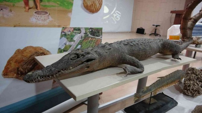 Öğrencilere Madenler Anlatıldı