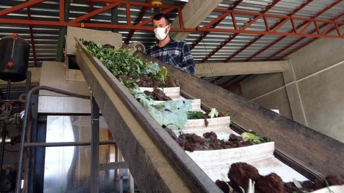 Sebze Ve Meyve Atıklarından Yıllık 400 Ton Organik Gübre Üretiliyor