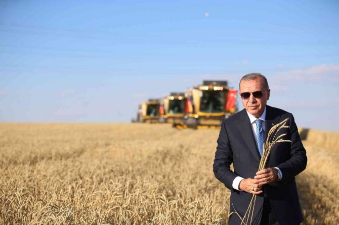 Tahıl Koridorunda Sevkiyat Yeniden Başladı