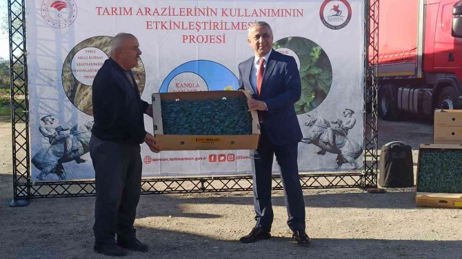 Çeltikten Sonra Boş Kalan Tarım Alanlarında Brokoli Yetiştirilecek