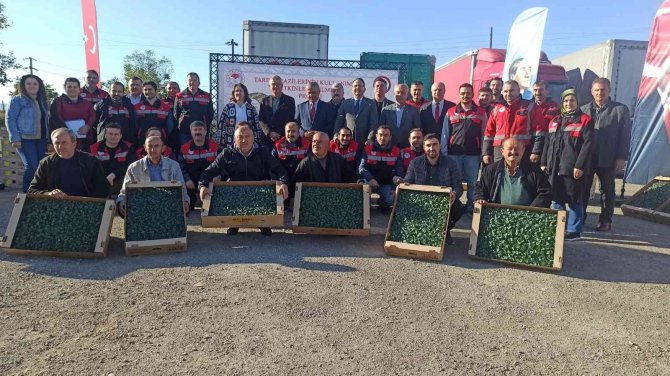 Çeltikten Sonra Boş Kalan Tarım Alanlarında Brokoli Yetiştirilecek
