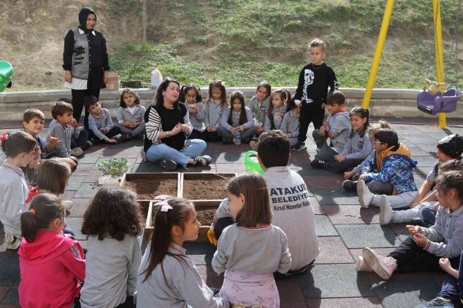 Atakum’da Minik Eller Toprakla Buluşuyor