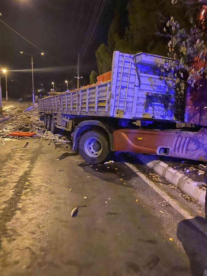 Kamyon Okul Duvarına Çarptı, Kasadaki Yüzlerce Kilo Balık Yola Saçıldı
