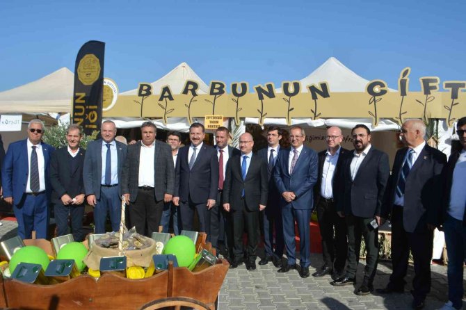 Ayvalık 17.uluslararası Zeytin Hasat Festivali Zeytin Galerisi Açılışı Ve Hasat Yürüyüşü İle Start Aldı