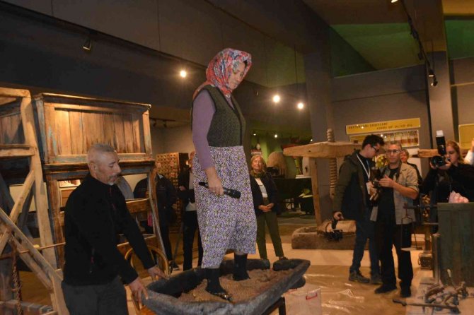 Ayvalık 17.uluslararası Zeytin Hasat Festivali Zeytin Galerisi Açılışı Ve Hasat Yürüyüşü İle Start Aldı