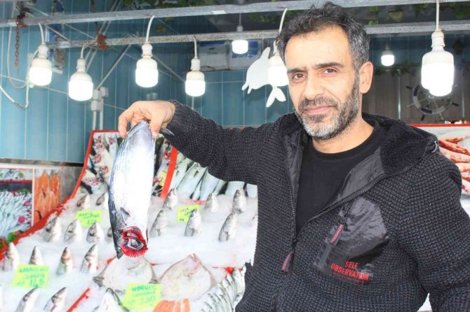 Balıkta Bereket Yılı