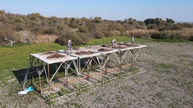 Bandırma Kuşcenneti Göçmen Kuşlar İçin Hazırlanıyor