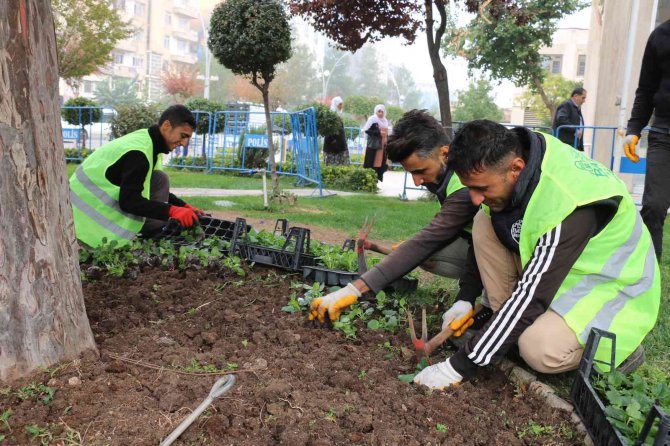 Batman’da Cadde Ve Refüjler Çiçeklerle Süslendi