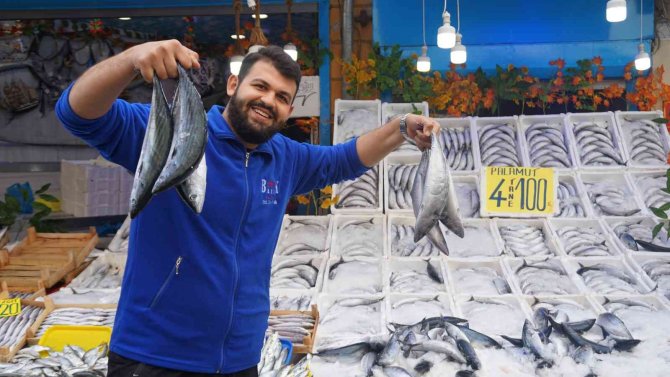 Tavuk Etinden Bile Ucuz, Fiyatını Duyan Soluğu Balıkçılarda Aldı