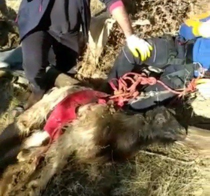 Elazığ’da Su Kuyusuna Düşen Keçi Kurtarıldı