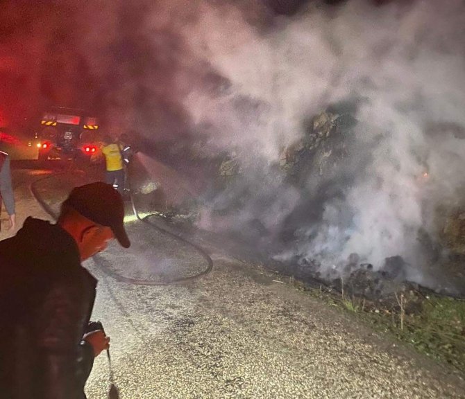 Gönen Geyikli Kırsal Mahallesinde Yangın Çıktı