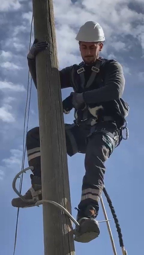 Elektrik Direğinde Mahsur Kalan Kedinin İmdadına Elektrik Dağıtım Şirketi Görevlileri Yetişti