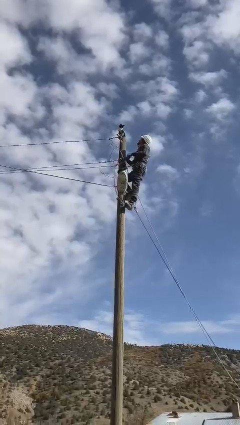 Elektrik Direğinde Mahsur Kalan Kedinin İmdadına Elektrik Dağıtım Şirketi Görevlileri Yetişti