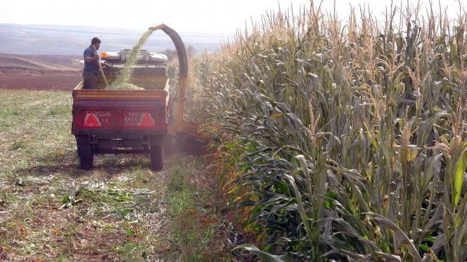 Yozgat’ta Yem Bitkisi Üretiminin Artırılması Amaçlanıyor