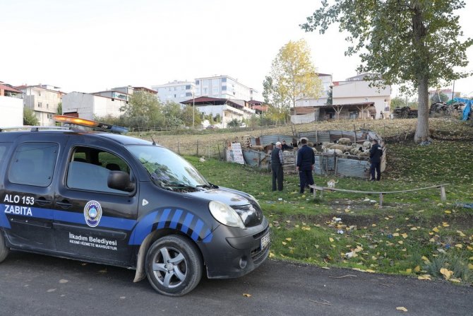 İ̇lkadım’da Zabıtadan Ahırlara Denetim