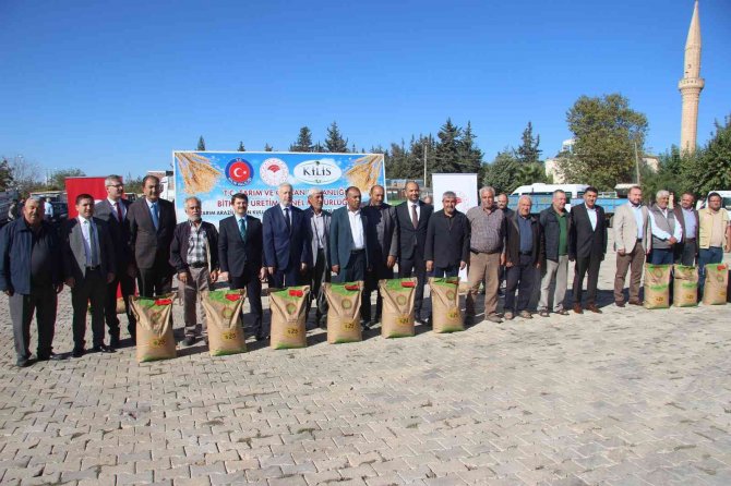 Kilis’te Çiftçiye 850 Ton Tohumluk Buğday Dağıtıldı