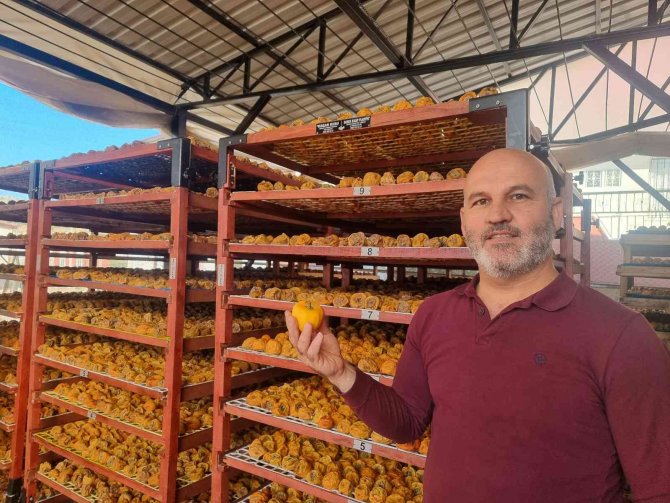 Bu Meyvenin Kurusu Yaşından 10 Kat Pahalıya Satılıyor