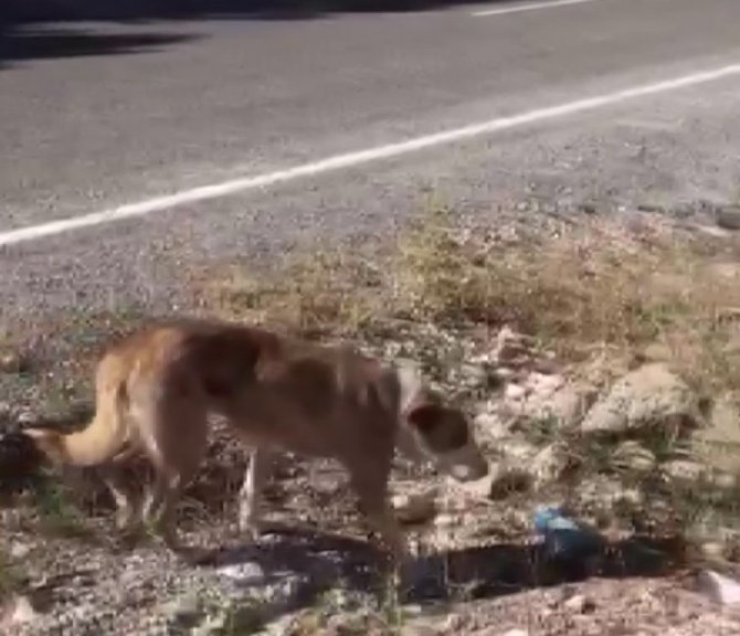 Metrelerce Yükseklikte Nefes Kesen Operasyon