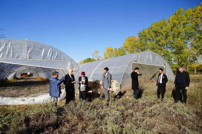 Paraguay Büyükelçisi’nden Kastamonu’da Tıbbi Aromatik Bitkiler Üzerinde İnceleme