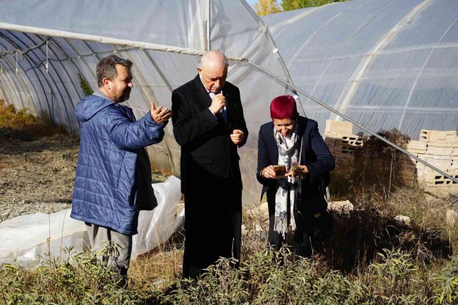 Paraguay Büyükelçisi’nden Kastamonu’da Tıbbi Aromatik Bitkiler Üzerinde İnceleme
