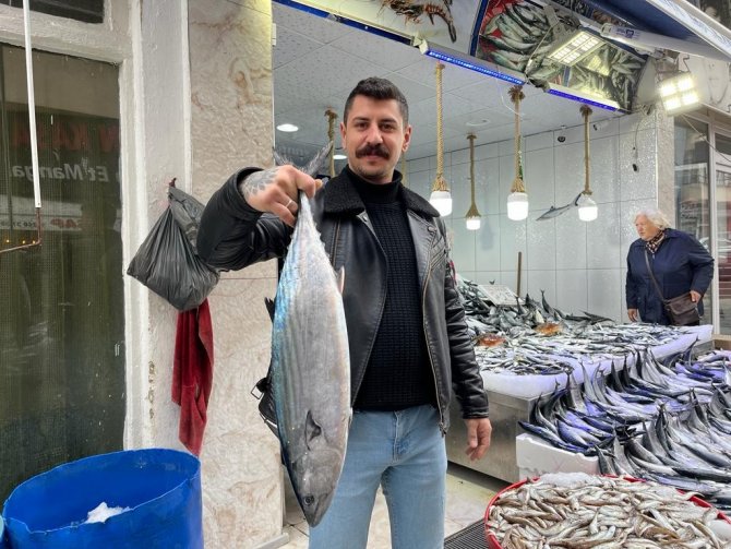 Sinop’ta 5-7 Kilogram Arası Torikler 700 Tl