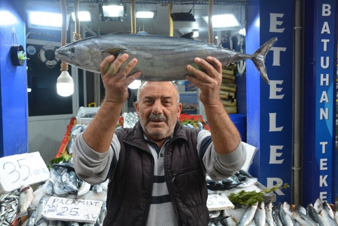Sinop’ta 5-7 Kilogram Arası Torikler 700 Tl