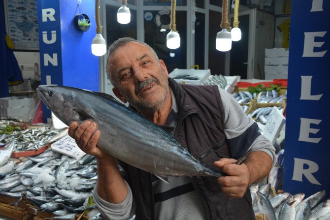 Sinop’ta 5-7 Kilogram Arası Torikler 700 Tl