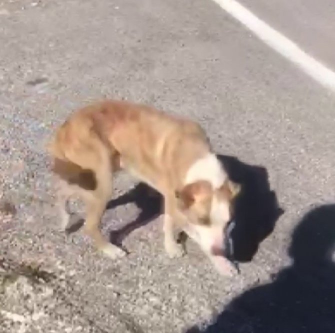 Metrelerce Yükseklikte Nefes Kesen Operasyon