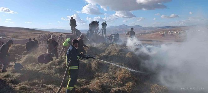 Van’da Ot Yangını