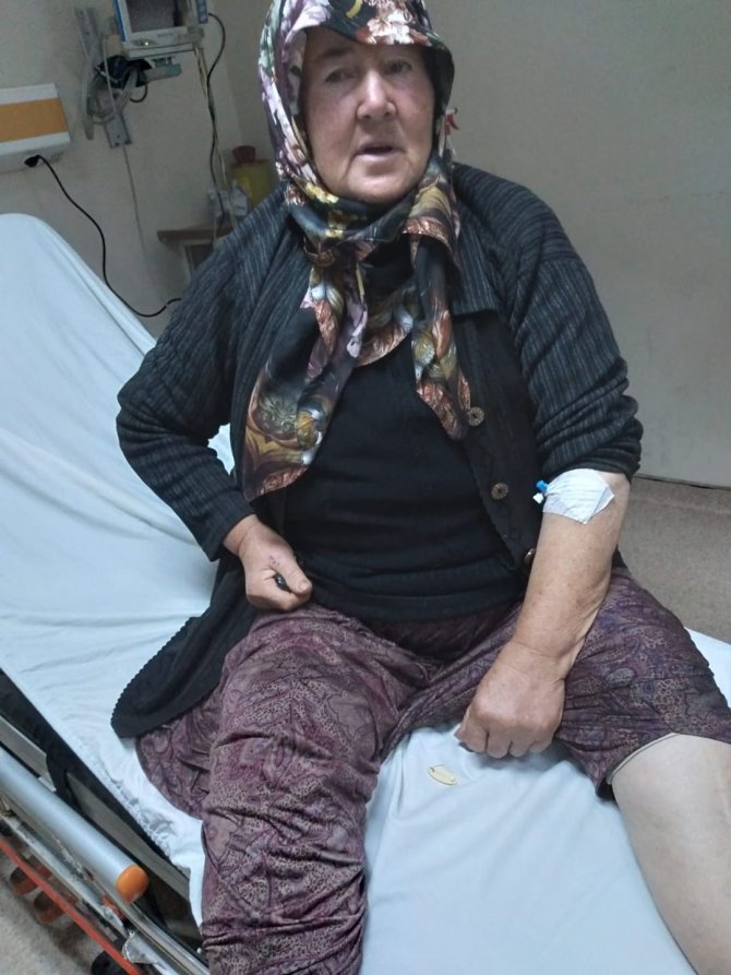 Yediği Mantardan Zehirlenen Kadın Hastanelik Oldu